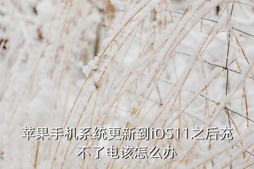 蘋(píng)果手機(jī)系統(tǒng)更新到iOS11之后充不了電該怎么辦