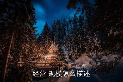 經(jīng)營 規(guī)模怎么描述