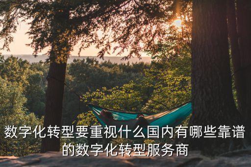 數(shù)字化轉(zhuǎn)型要重視什么國(guó)內(nèi)有哪些靠譜的數(shù)字化轉(zhuǎn)型服務(wù)商