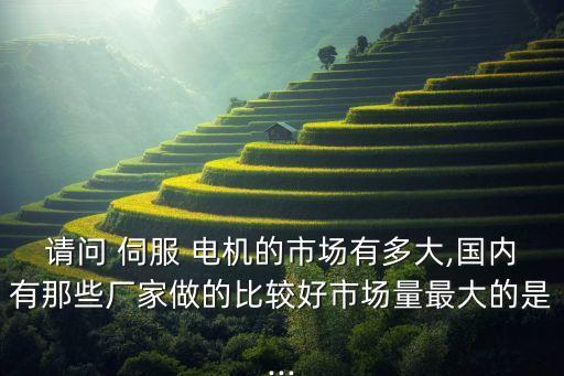 請(qǐng)問 伺服 電機(jī)的市場(chǎng)有多大,國(guó)內(nèi)有那些廠家做的比較好市場(chǎng)量最大的是...