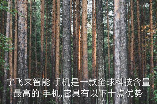 宇飛來智能 手機(jī)是一款全球科技含量最高的 手機(jī),它具有以下十點(diǎn)優(yōu)勢