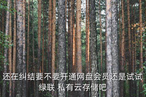 還在糾結(jié)要不要開(kāi)通網(wǎng)盤會(huì)員還是試試綠聯(lián) 私有云存儲(chǔ)吧