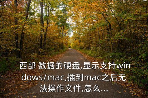 西部數(shù)據(jù)Mac