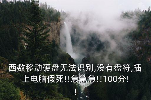 西數(shù)移動硬盤無法識別,沒有盤符,插上電腦假死!!急急急!!100分!!
