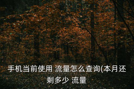 手機當前使用 流量怎么查詢(本月還剩多少 流量