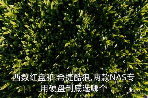 希捷 西部數(shù)據(jù) 哪個,希捷和西部數(shù)據(jù)筆記本硬盤哪個好