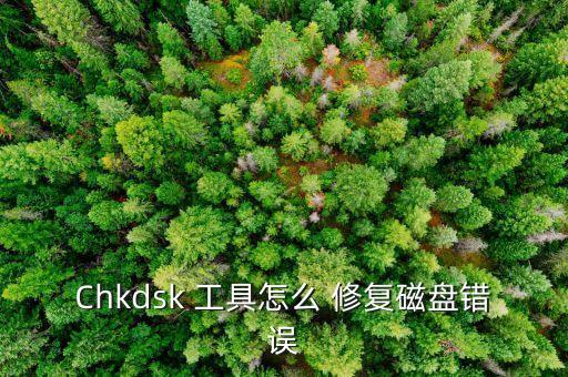 Chkdsk 工具怎么 修復(fù)磁盤(pán)錯(cuò)誤