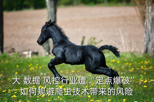 大 數(shù)據(jù) 風(fēng)控行業(yè)遭“定點(diǎn)爆破”,如何規(guī)避爬蟲技術(shù)帶來的風(fēng)險(xiǎn)