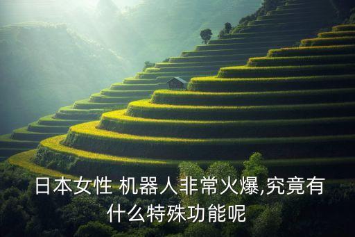  日本女性 機(jī)器人非?；鸨?究竟有什么特殊功能呢