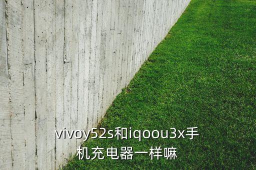 vivoy52s和iqoou3x手機(jī)充電器一樣嘛