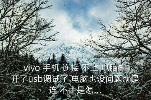 vivo 手機 連接 不上 電腦打開了usb調(diào)試了 電腦也沒問題就是連 不上是怎...
