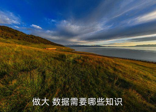 做大 數(shù)據(jù)需要哪些知識