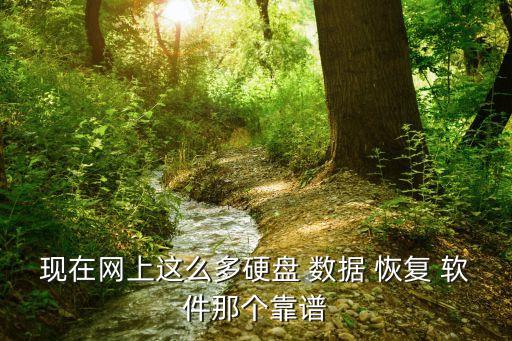 現(xiàn)在網(wǎng)上這么多硬盤 數(shù)據(jù) 恢復(fù) 軟件那個(gè)靠譜