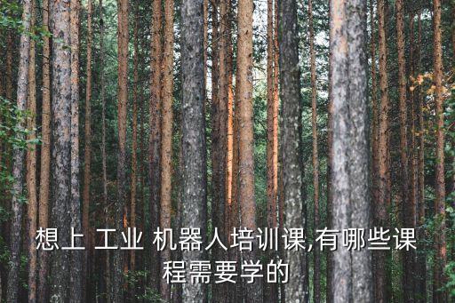 工業(yè)機(jī)器人流水線視頻