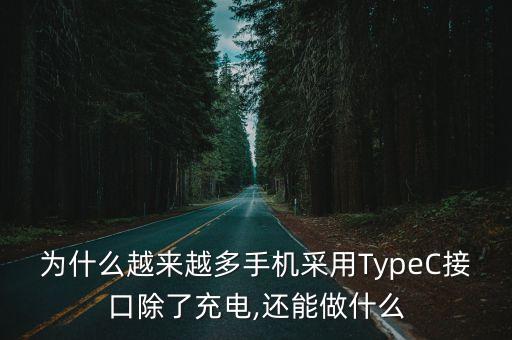 為什么越來越多手機(jī)采用TypeC接口除了充電,還能做什么