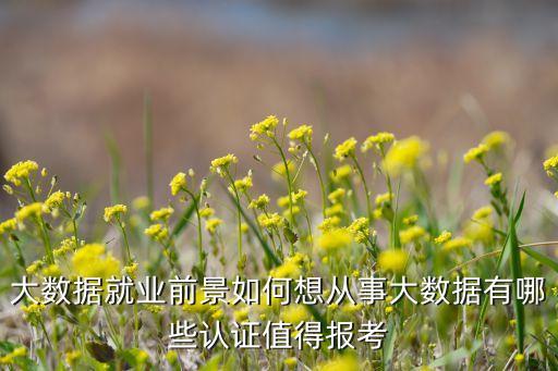 大數(shù)據(jù)就業(yè)前景如何想從事大數(shù)據(jù)有哪些認證值得報考