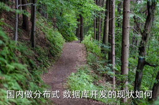 國內(nèi)做分布式 數(shù)據(jù)庫開發(fā)的現(xiàn)狀如何