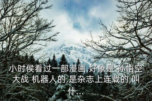 小時侯看過一部漫畫,好象是 孫悟空大戰(zhàn) 機器人的,是雜志上連載的,叫什...