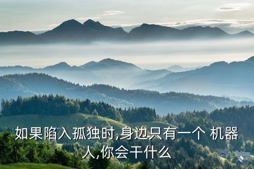 智能寵物陪伴機(jī)器人,寵物陪伴機(jī)器人市場(chǎng)調(diào)查