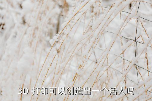 3D 打印可以創(chuàng)造出一個活人嗎