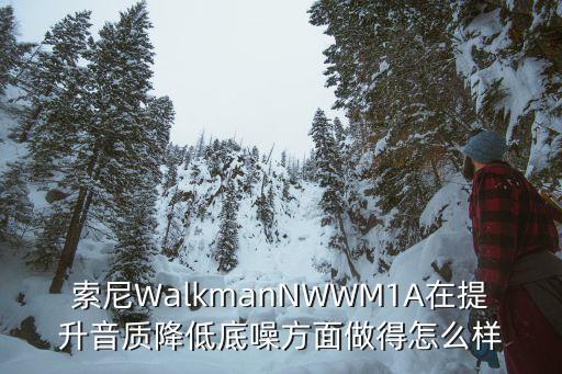nw wm1a數(shù)據(jù)線