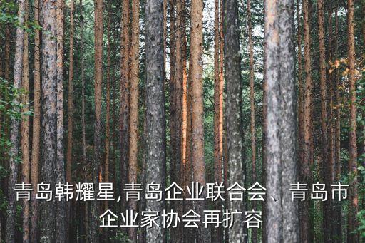 青島韓耀星,青島企業(yè)聯(lián)合會、青島市企業(yè)家協(xié)會再擴容