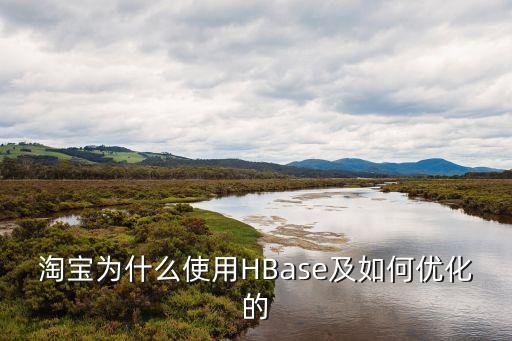 淘寶為什么使用HBase及如何優(yōu)化的
