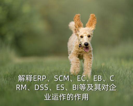 解釋ERP、SCM、EC、EB、CRM、DSS、ES、BI等及其對企業(yè)運作的作用