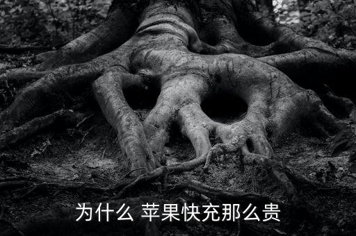 日本蘋(píng)果數(shù)據(jù)線好貴,為什么蘋(píng)果原裝數(shù)據(jù)線那么貴