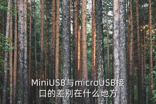 MiniUSB與microUSB接口的差別在什么地方