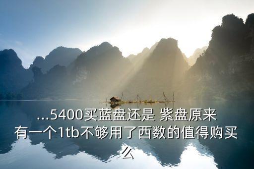 西部數(shù)據(jù)紫盤家用,?？低曃鞑繑?shù)據(jù)紫盤