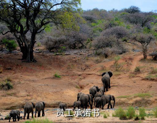 數(shù)據(jù)庫(kù)維護(hù) 裁員,被裁員了怎么維護(hù)權(quán)益