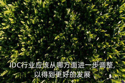 IDC行業(yè)應(yīng)該從哪方面進(jìn)一步調(diào)整,以得到更好的發(fā)展