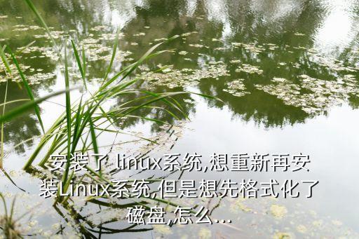 安裝了 linux系統(tǒng),想重新再安裝Linux系統(tǒng),但是想先格式化了磁盤(pán),怎么...