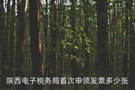 陜西電子稅務(wù)局首次申領(lǐng)發(fā)票多少張