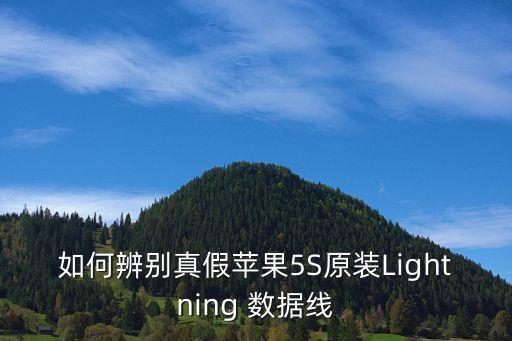 如何辨別真假蘋果5S原裝Lightning 數(shù)據(jù)線