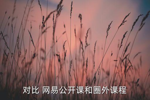 網(wǎng)易云課堂 數(shù)據(jù)報(bào)告,網(wǎng)易有道云課堂正規(guī)嗎