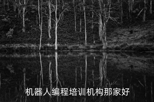  機器人編程培訓(xùn)機構(gòu)那家好