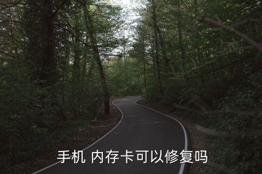 手機內(nèi)存卡損壞怎么恢復(fù)數(shù)據(jù)恢復(fù)軟件