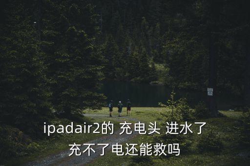 ipadair2的 充電頭 進(jìn)水了充不了電還能救嗎