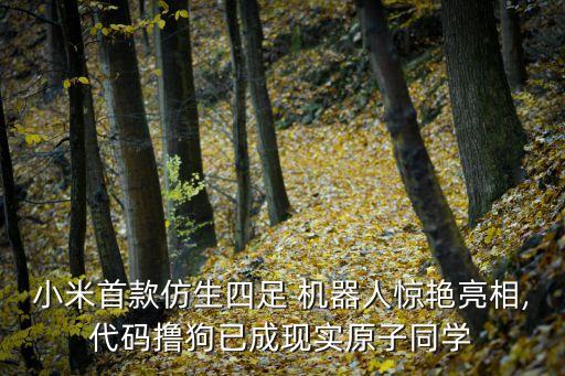 小米首款仿生四足 機(jī)器人驚艷亮相,代碼擼狗已成現(xiàn)實(shí)原子同學(xué)