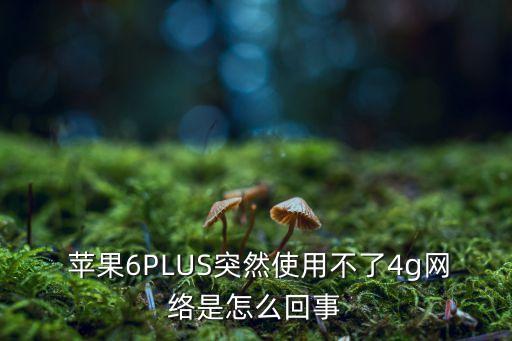 蘋果6plus數(shù)據(jù)不能用