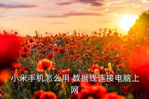 小米360數(shù)據(jù)線,小米11原裝數(shù)據(jù)線是幾A
