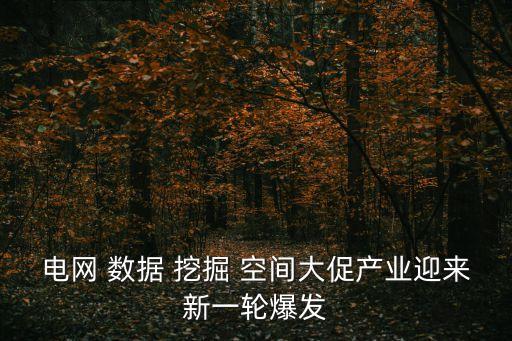 電網(wǎng) 數(shù)據(jù) 挖掘 空間大促產(chǎn)業(yè)迎來新一輪爆發(fā)