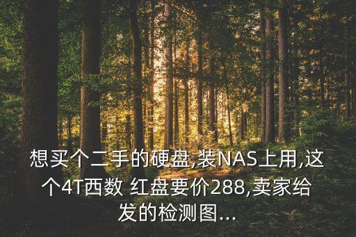 西部數(shù)據(jù)(wd)紅盤 4tb sata3 64m