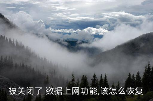 不小心把流量數(shù)據(jù)弄沒該怎么辦
