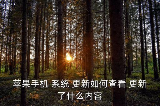 ios系統(tǒng)更新 數(shù)據(jù)