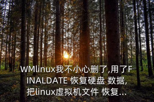 vmfs 數(shù)據(jù)恢復(fù) 破解,srx9000數(shù)據(jù)恢復(fù)破解