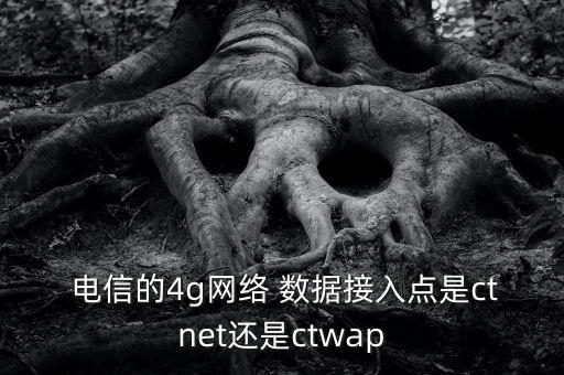  電信的4g網(wǎng)絡(luò) 數(shù)據(jù)接入點(diǎn)是ctnet還是ctwap