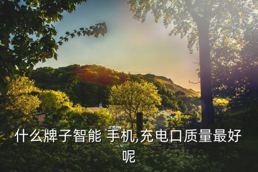 什么牌子智能 手機(jī),充電口質(zhì)量最好呢